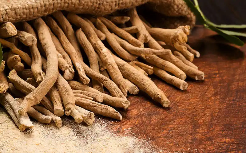 Is Ashwagandha Safe for Dogs and Cats? by PetWell